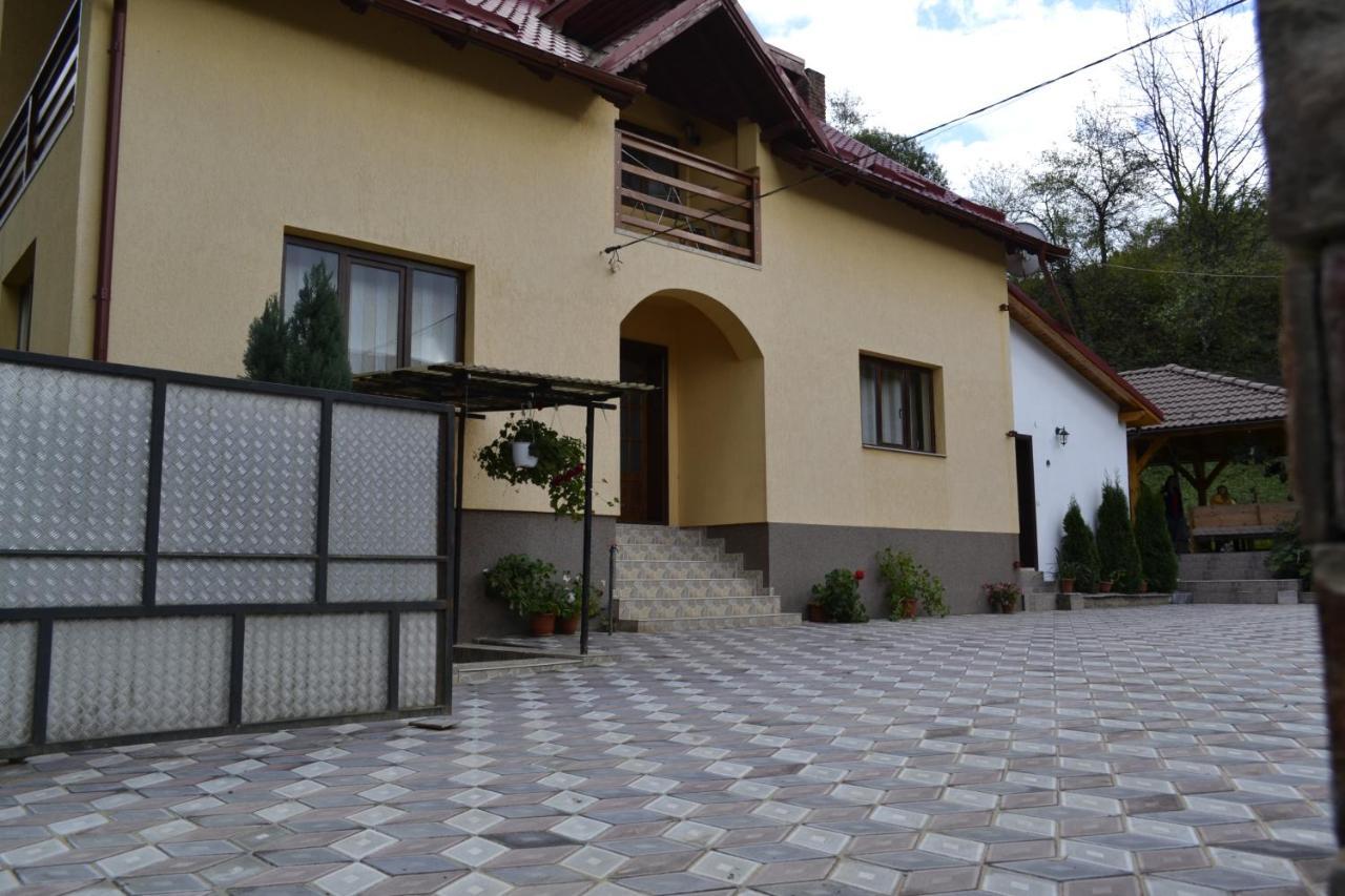 Pensiunea Malinul Bîrsana 외부 사진