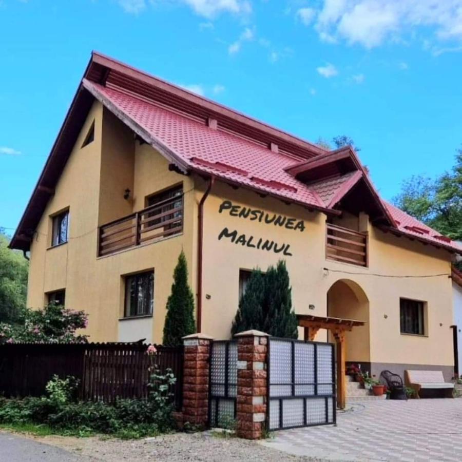 Pensiunea Malinul Bîrsana 외부 사진