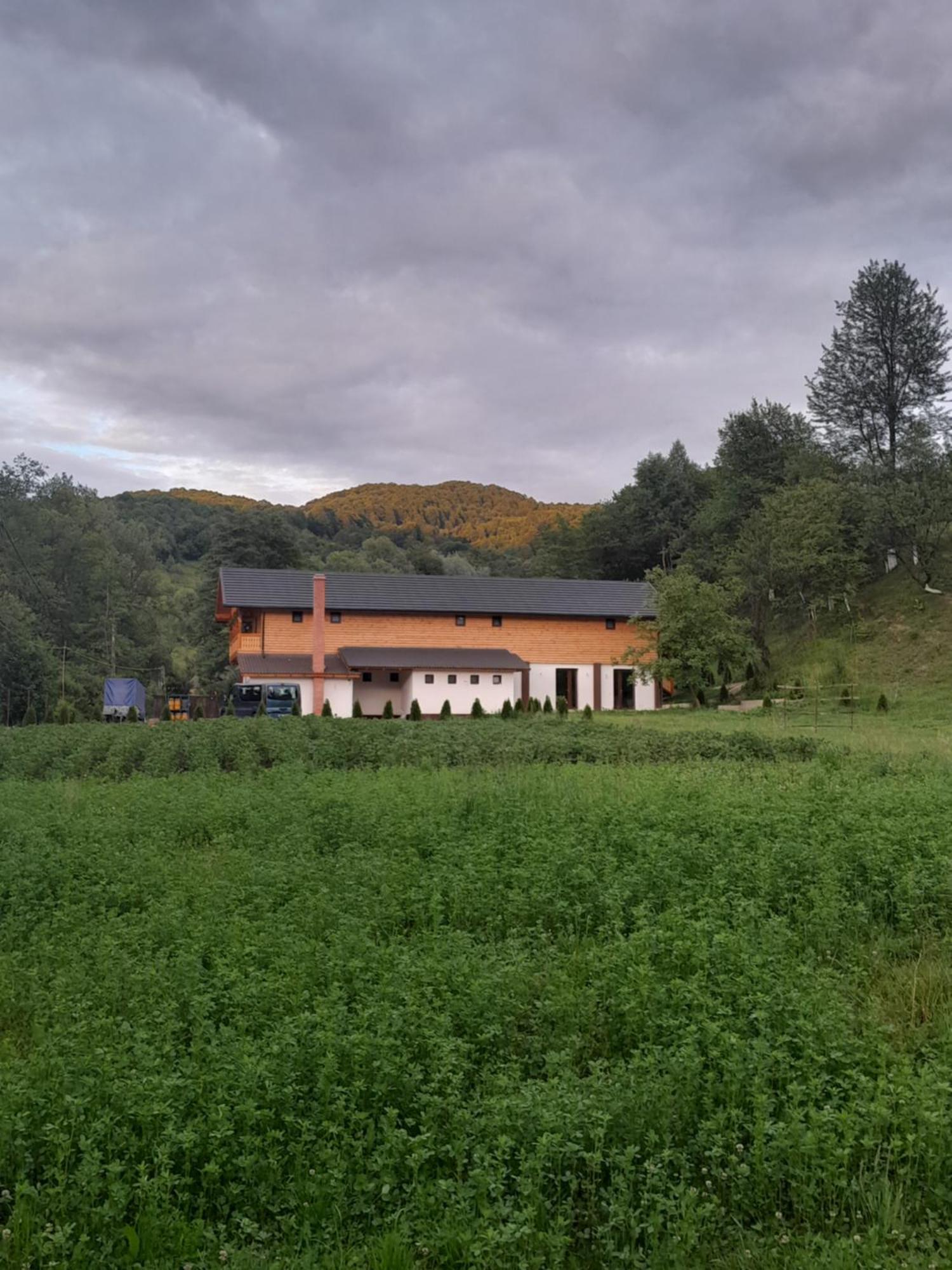 Pensiunea Malinul Bîrsana 외부 사진